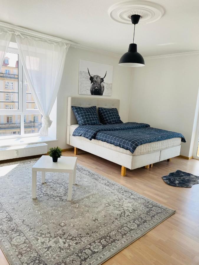 Luxury 3-Room Apartment 德累斯顿 外观 照片